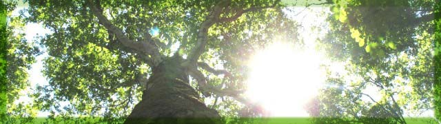 �������́A���R�ɗD�����������������܂��B